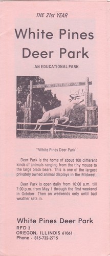 1970 white pines deer park - pines,