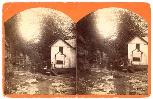 Illinois stereoview deer - illinois,